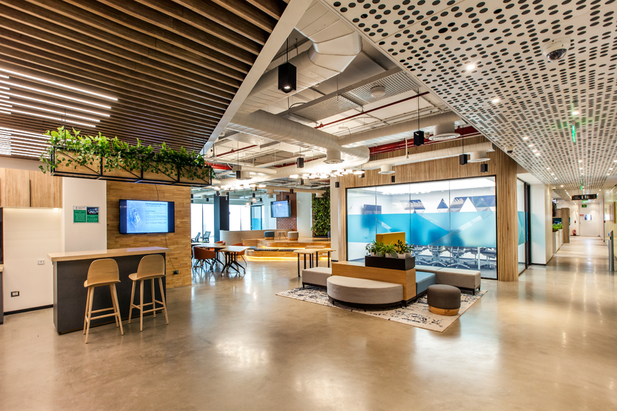 Benefits of biophilic elements in workplace 