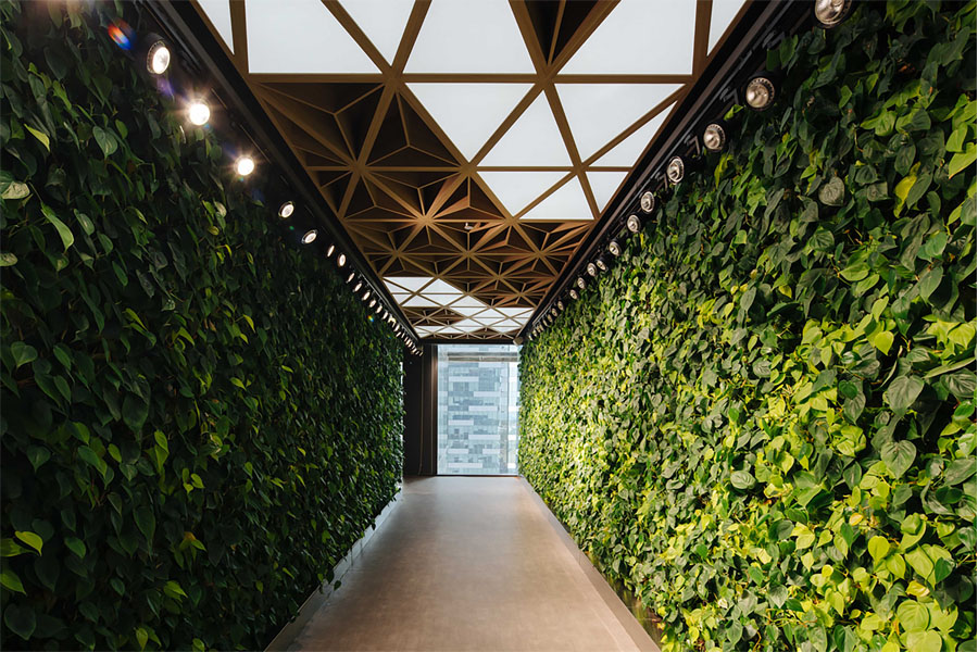 Satisfying the human affinity to biophilic spaces is key part of post-pandemic workplace design